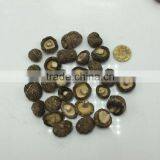 Bulk Dried Smooth Shiitake