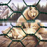 Used in Zoo Wire Mesh / Animal Cage Hexagoanl Wire Mesh