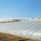 Agriculture Plastic Film High Quality EVA Greenhouse Film thumbnail-1