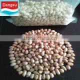 Chinese Peanut 40/50