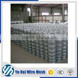 Cheap Cattle and Kraal Network