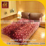 2 Ply King Korean Mink Blanket thumbnail-1