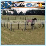 China Wholesale 1.8x2.1 used horse corral panels and painted steel corral panels