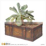 Luggage Case Shape Office Desk Flower Pots Wholesale thumbnail-1