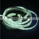 2 Row 240leds/m Cold White Waterproof Outdoor 3528 Led Strip For Building Decoration