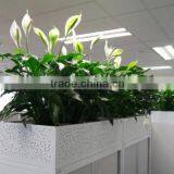 Real Touch Plastic Plant Artificial Spathi Phyllum thumbnail-1