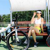 Haoling Seagull - Electric Bike Motor Mid Drive, Electric Motor Bike thumbnail-6