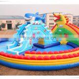 2016 Best Selling Slide! Used Inflatable Water Slide for Sale, Amusement Park Slide for Kids and Adults thumbnail-3