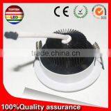 Low Price Diamter 205mm Cut-out 185mm 15w Led Down Light