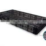 16X16mm Zapco oyster mesh bag