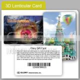 Alphanumeric Printing With 3D Effect Plastic Code Card