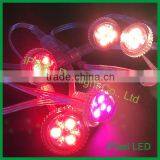3led Pixel Led Ucs1903 Point Pixel Led Module Light Frost Clear Body