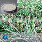 High Quality Bromelain Wholesale Organic Pineapple Extract Bromelain Powder thumbnail-4