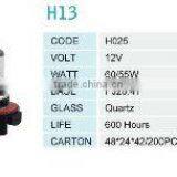 Halogen Bulb H13