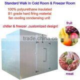 Modular Cold Room and Freezer Room(fruit&meat)with Cam Lock Polyurethane Panels