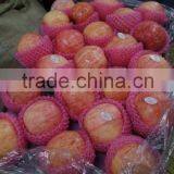Chinese Fresh Paper Bagged Red Fuji Apples