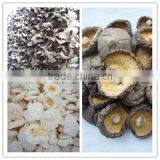 Qingdao Hilda-Jingyi Trading Co., Ltd. company overview - view 3 thumbnail