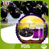 HOT SALE Natural Organic Black Goji Berries/black Chinese Wolfberry/black Goji thumbnail-1