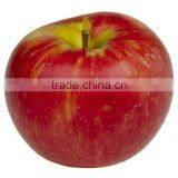 Apple Cider Vinegar Apple Vinegar for Diabetics Health Food thumbnail-3