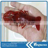 Best Supplier Frozen Water Cooked Crayfish / Crawfish thumbnail-4