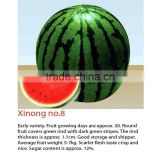 XIANONG NO: 8 Hybrid Watermelon Seeds