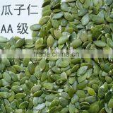 Pumpkin Seed Kernels