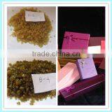 bovine bone glue gelatin for etui