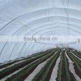 Drip Pipe Irrigation Tape. Made in Spain thumbnail-5