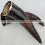 Drinking Horn thumbnail-1