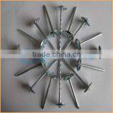 Top Quality Galvanized Corrugated Roofing Nails Trusted Chuanghe Suppliers From Com thumbnail-4