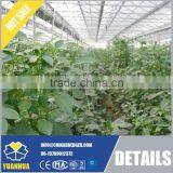 PC Greenhouse With High Quality and Favorable Price thumbnail-6