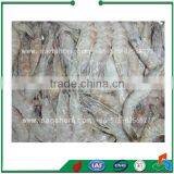 China Double Spiral Quick Freezer Machine thumbnail-5