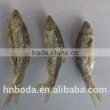 Industrial Cabinet Type Fish Dryer/fish Drying Machine/food Dryer thumbnail-4