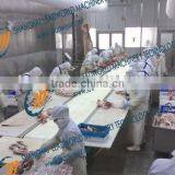 Beef Dividing Conveyor System thumbnail-1