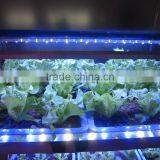 Wholesale 23W 46W 92W Waterproof LED Tube Grow Light thumbnail-6