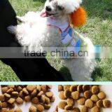 Pet Feed Dog Food thumbnail-1