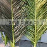 Fake Plastic Palm Leaf Manufacture Garden Handmade Artificial Palm Leaf/branch thumbnail-3