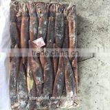 Deep Frozen Illex Squid thumbnail-1