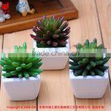 Tiny Artificial Succulents Wholesale Succulents Plants thumbnail-1