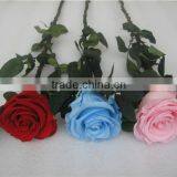 Beautiful Cheapest Decoration Flower Preserved Flower With Long Stem thumbnail-3