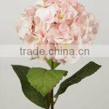 Stable Supplying High Quality Variegate Color Corn Husks Flowers