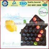 China Supply Factory Price PP ProtectiveTray for Apple Packing