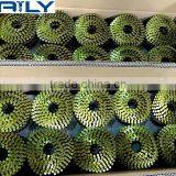 Factory Direct Supply Various Sizes Right Angle Coil Nails thumbnail-5