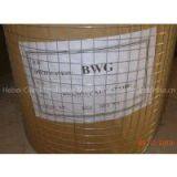 Anping Supplier High Quality Galvanized Welded Wire Mesh thumbnail-2