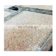 Frozen Krill Shrimp, Fodder Shrimp, Small White Krill Shrimp thumbnail-3