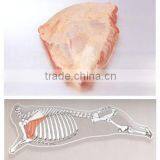 Frozen Beef - Forequarter, Hindquarter and Fancy Meats thumbnail-2