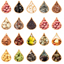 Cold Hydraulic Walnut Avocado Coconut Linseed Oil Processing Machine Oil Extractor Oil Making Machine Oil Press Machine thumbnail-2