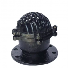 BS Standard Cast Iron Grey Iron Threaded Foot Valve PN10/PN16 Pressure Rating for Water Pump thumbnail-3