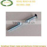 OEM Professional Precision ISO ROHS Self-tapping Screw