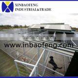 Best Price Strong Convenient Dog Crates for Sale E-004